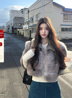 viola【本色贝贝狐】市场Zui浅色号巨软糯顺滑芬兰saga级幼狐