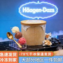 哈根达斯原装进口冷饮大桶冰淇淋自助餐饮商用挖球雪糕送杯勺
