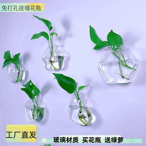 挂墙花瓶水培植物简约壁挂花盆
