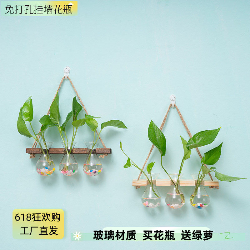 墙上花盆架麻绳挂墙花瓶室内壁挂水培植物容器办公室墙面装饰玻璃