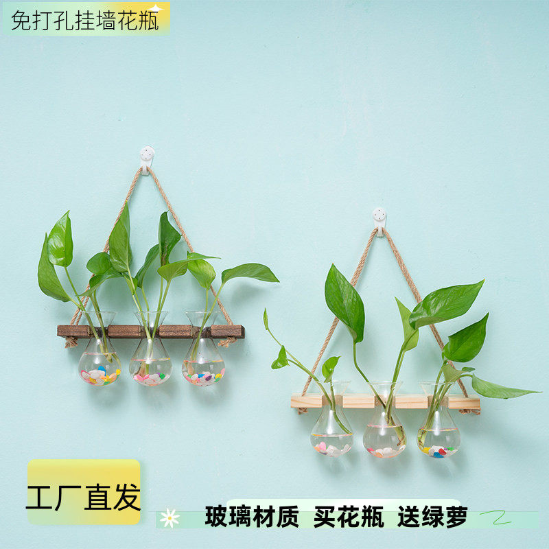 墙上花盆架麻绳挂墙花瓶室内壁挂水培植物容器办公室墙面装饰玻璃