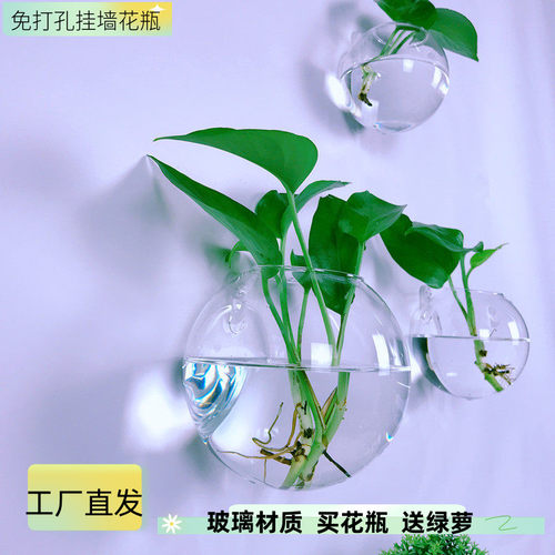 墙壁装饰花盆挂墙水培