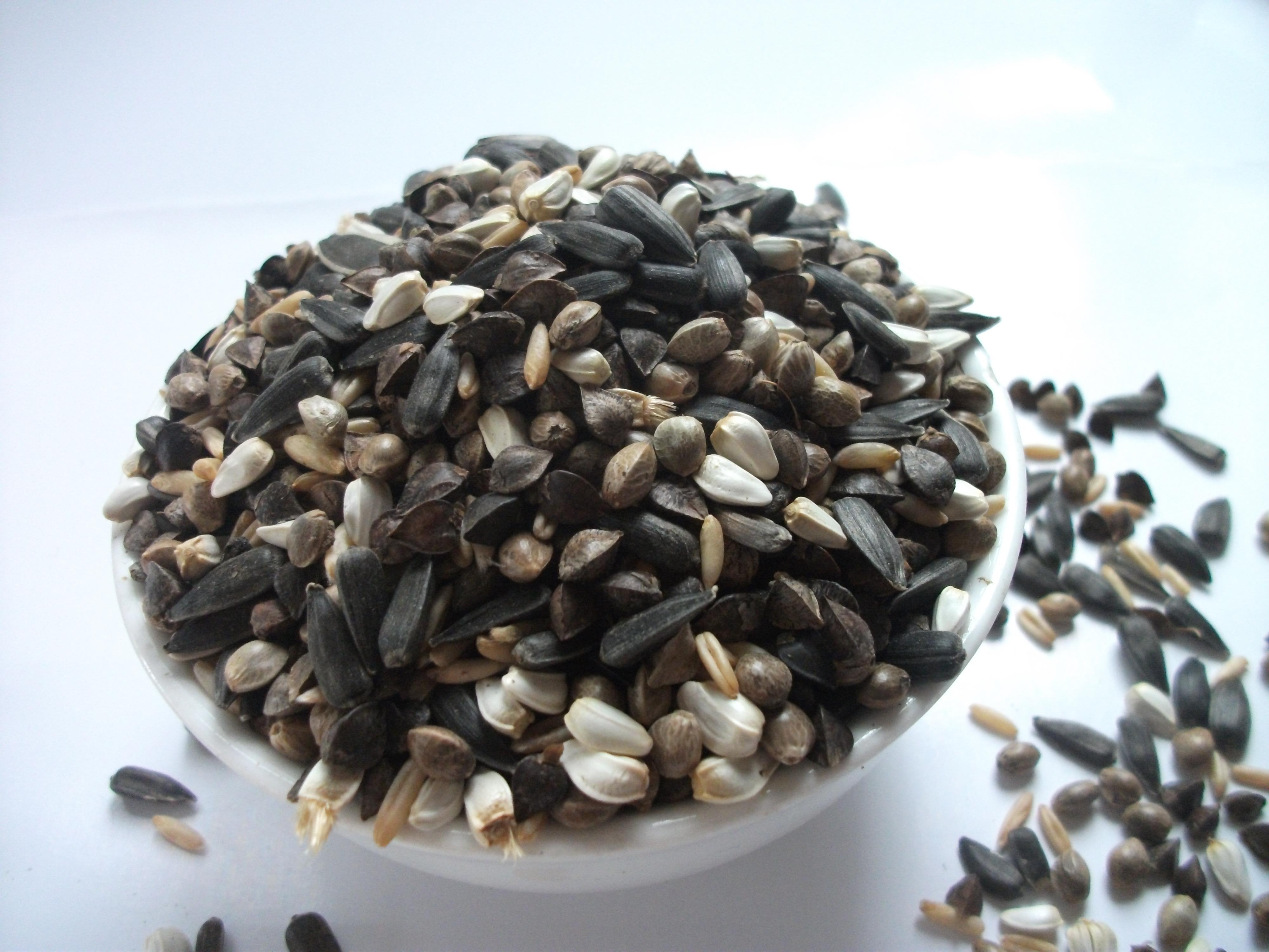 网友分享在meiguo.com的图片