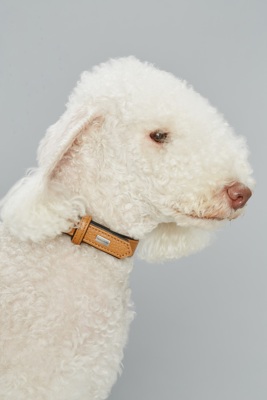 现货韩国脖圈意大利真皮项圈