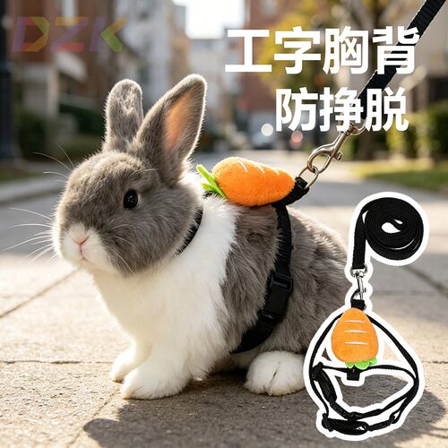 小兔子牵引绳防挣脱专用外出神器溜侏儒幼兔宝宝荷兰猪龙猫的绳k3