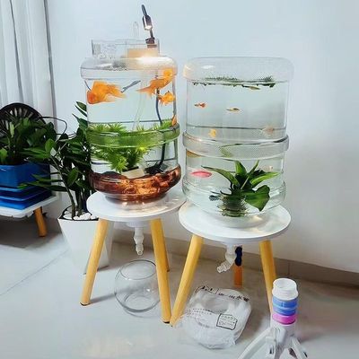 高清透明矿泉水桶养鱼创意改装支架水族箱一键排水懒人养鱼专用