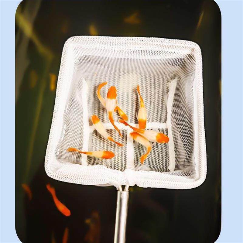 观赏鱼不锈钢鱼网鱼缸网捞小鱼小号渔捞网兜密网手抄伸缩鱼捞抄网