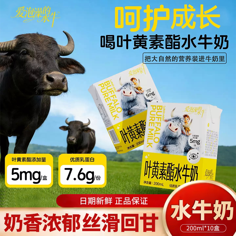 爱泡澡的水牛叶黄素酯水牛奶200ml*10盒整箱儿童学生水牛奶早餐奶