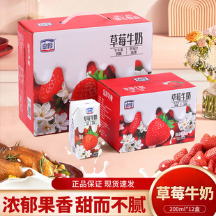 忠厚草莓牛奶200ml*6盒学生儿童老人草莓味营养早餐奶整箱礼盒装