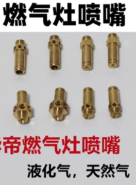 适用华帝燃气灶i10052B/10053BF/B8401B/B84改装天然气液化气喷嘴