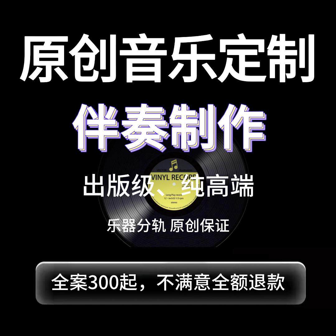 VINYLRECORD出品级乐器伴奏