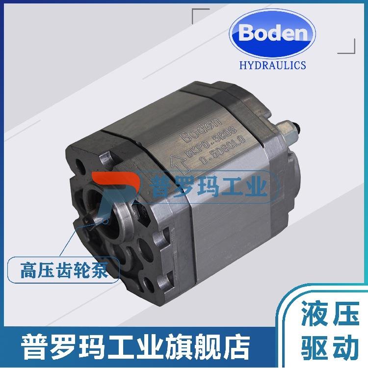 齿轮泵BKP0.5B0D0.75/1.00/1.25/1.75/2.00GOLO-BQ0B1A0