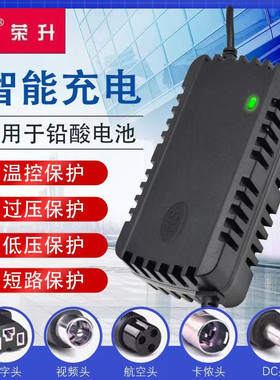24V12AH20A小海豚迷你电动车充电器轮椅代步车24伏铅酸充电器通用