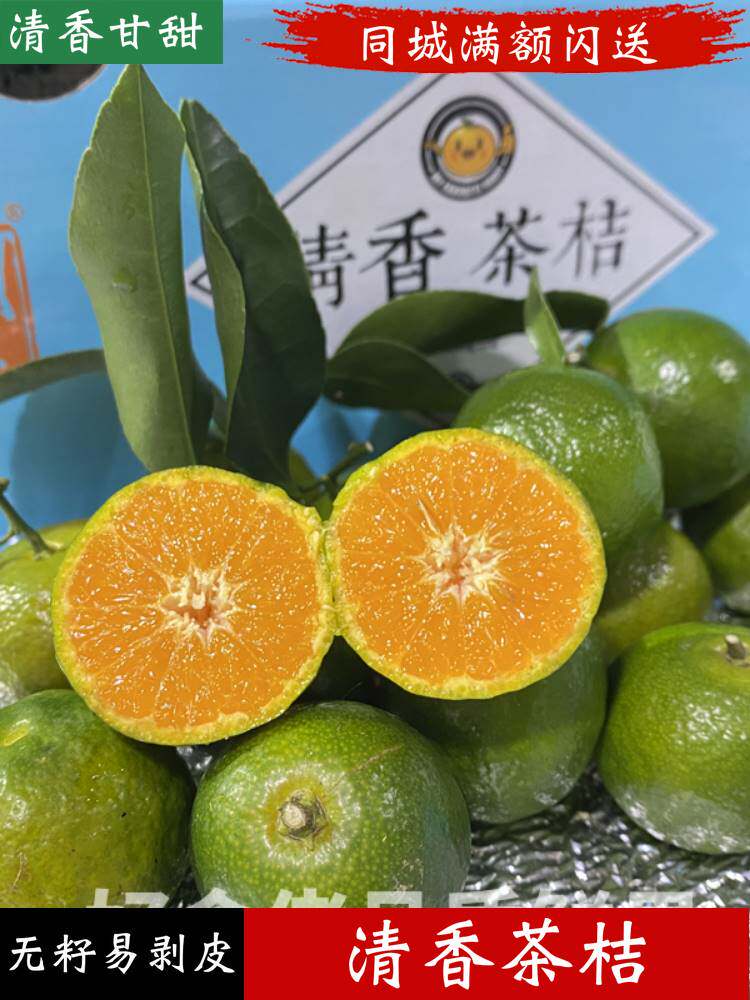 广西川宝清香茶桔4斤纯甜清香蜜桔巴西柑新鲜水果青皮橘青龙桔