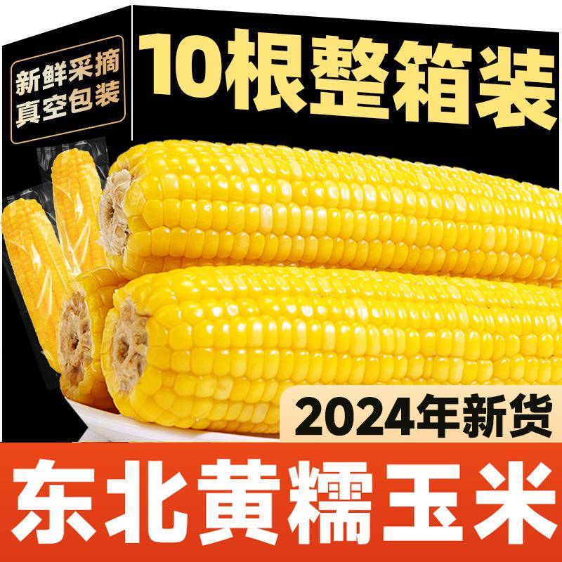 2024东北玉米新鲜黄糯玉米黏玉米黑糯玉米真空装粘糯苞米即食早餐