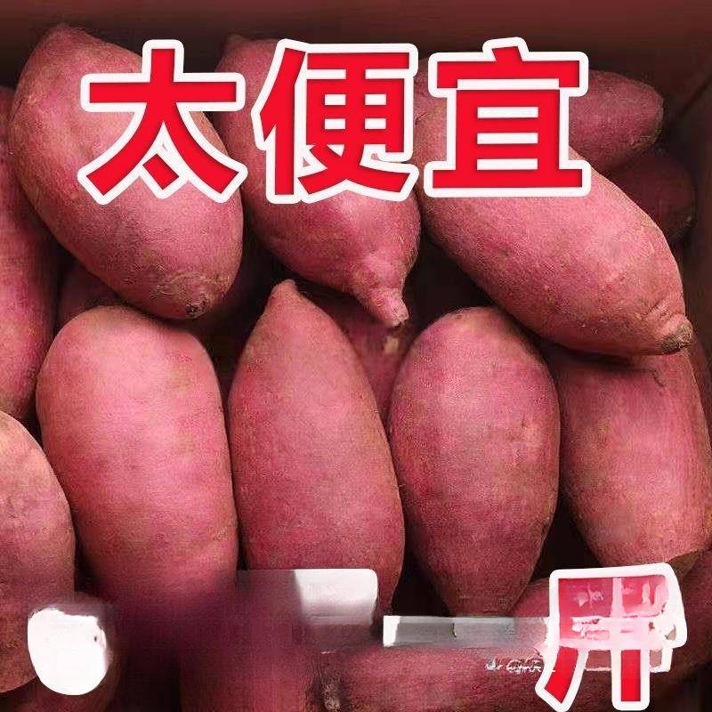 新鲜农家自种红薯沙地黄心蜜薯板栗小番烟薯糖心地瓜红皮红心山芋