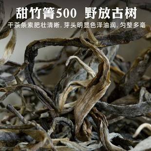 【甜竹箐·500】苦竹山古树纯料 生茶云南普洱茶散茶200g茶饼