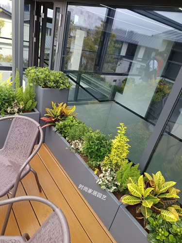 户外花箱植物造景组合庭院商业街花箱花槽花池好养的木本植物组合