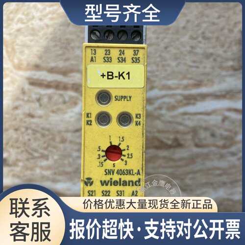 安全继电器 SNV4063KL-A R1.188.0620.0 0.15-3S议价