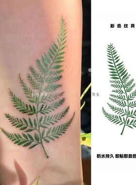 森系蕨类叶子纹身贴女 ins风植物大图案手臂小腿 高级感纹身贴纸