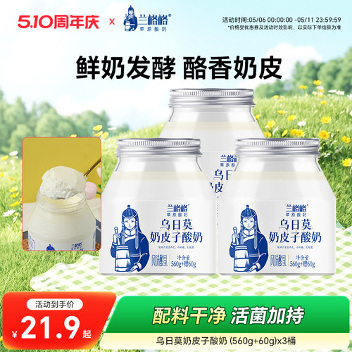 兰格格奶皮子酸奶内蒙古特产