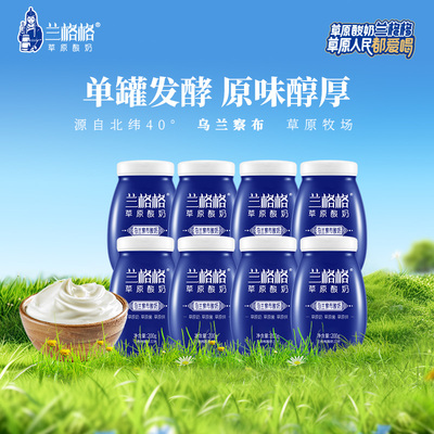 非礼盒】兰格格内蒙原味瓷瓶酸奶