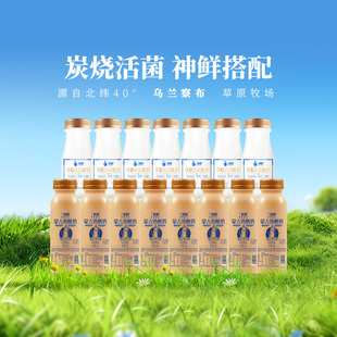 兰格格酸奶草原活菌酸奶/熟酸奶210g*15瓶内蒙特产奶户外便携装