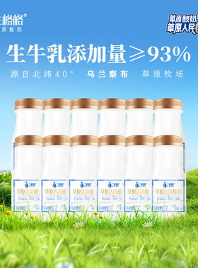 兰格格草原活菌酸奶210g*12瓶 低温酸奶益生菌