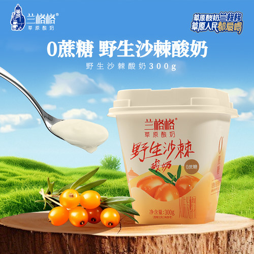 兰格格草原酸奶野生沙棘300g*2杯0蔗糖低温沙棘味酸奶