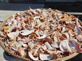 永春本地嫩笋块笋丝清明笋干明笋干笋尖500克2斤包邮