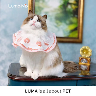 新品LumaMix 通用原创口水巾宠物猫狗衣服春夏新年过年伊丽莎白圈