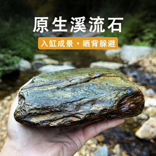 天然溪流石乌龟缸造景躲避晒台