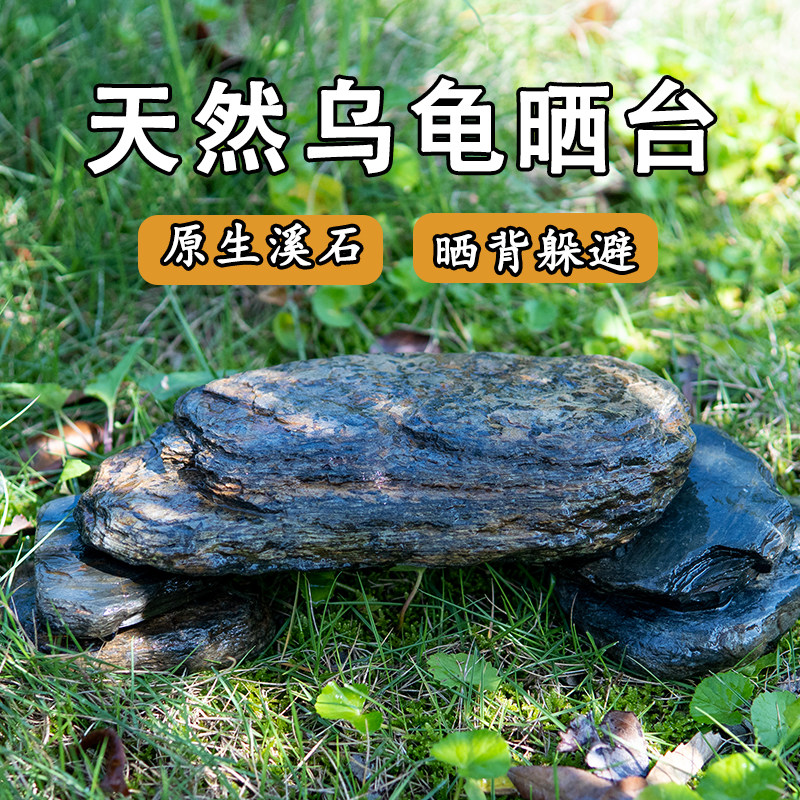 天然水龟晒背躲避屋爬台
