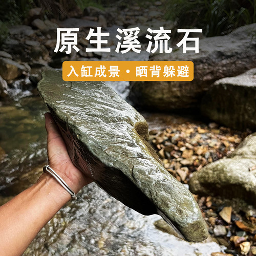 天然溪流石乌龟缸造景躲避晒台