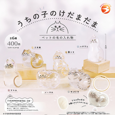 正版 BRIGHT LINK 扭蛋 日本 透明猫毛收纳盒 挂件 猫咪毛发 现货