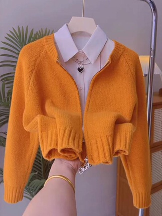 2026 Autumn and Winter Fashionable and Elegant Sweater Cardigan Women's Round Neck Long Sleeve Double Zipper Knitwear Jacket