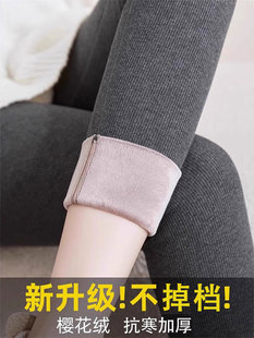 东北特厚高腰保暖棉裤 灰色打底裤 加绒加厚秋裤 外穿2025新款 女秋季
