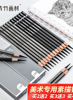 青竹素描铅笔美术生专用素描笔绘画专用炭笔2比2bhb4b14b6b8b10b12比碳笔初学者绘图画笔软中硬工具套装