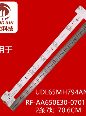 适用UDL65MH794ANT灯条RF-AA650E30--0701B-10