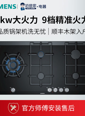 奶爸家德国siemens西门子多米诺双眼家用燃气灶天然气ER3A6BB70D