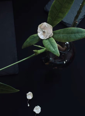 WINNME·小精灵·天然巴洛克花瓣珍珠耳钉s925银小众高级感耳饰女