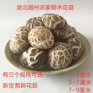 农家椴木野生大花菇干货香菇500g包邮特产干香菇剪脚蘑菇厚肉冬菇
