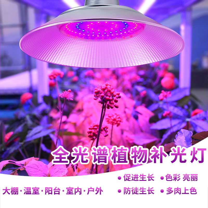工矿植物生长灯多肉上色厂家直营