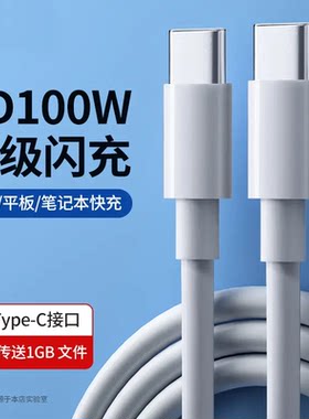 适用笔记本PD100W数据线