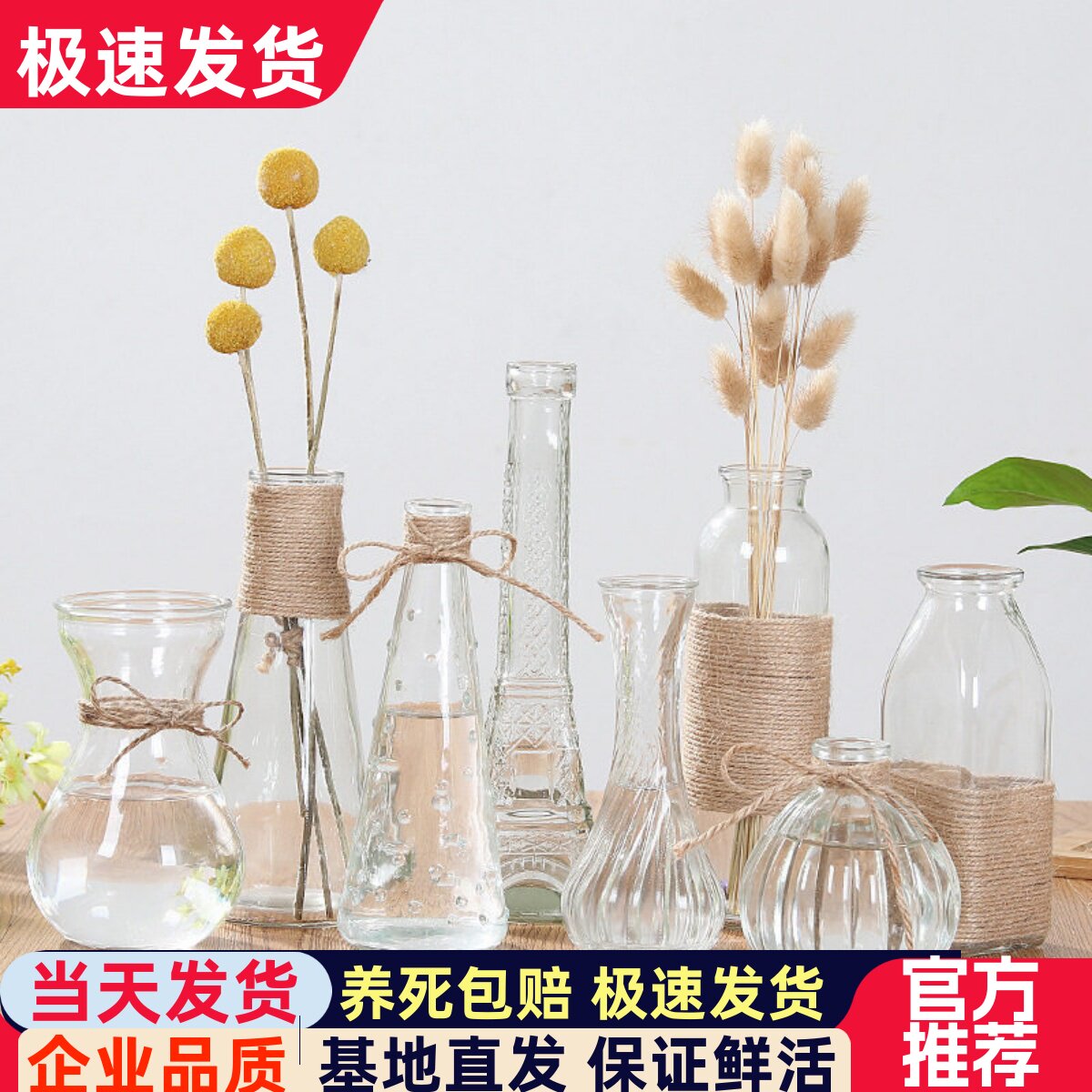 透明玻璃花瓶水培植物容器绿萝水养瓶子干花插花桌面摆件器皿花盆