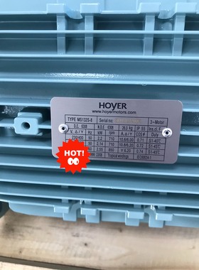 议价议价HOYER船用马达，各型号均有售，MS132S-8。有需要点议价