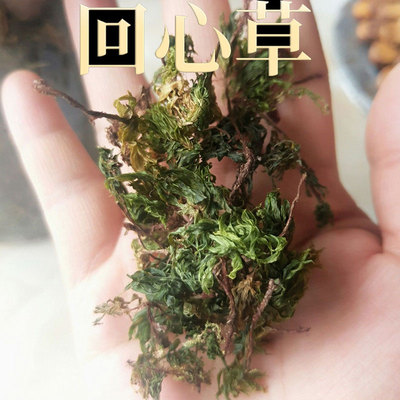 云南野生回心草中药材500g精选药用级天然无硫中草药茴心草干货