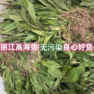 云南正宗野外生长见血清草药干货不是广西种植的见血清中药材包邮