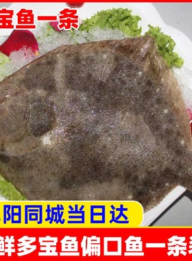 多宝鱼扁鱼水产深海海鲜一条约一斤半辽宁沈阳同城当日达大偏口鱼