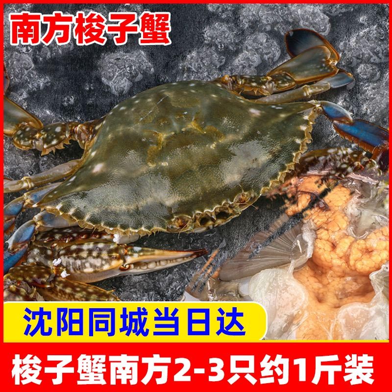 南方梭子蟹飞蟹舟山大连2到3只装一份海鲜辽宁沈阳同城丹东东港约